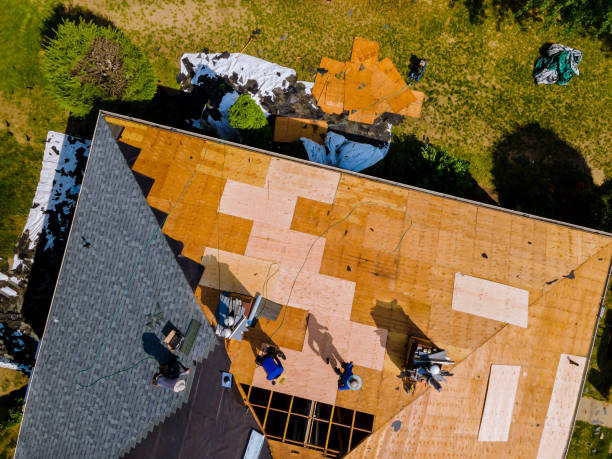 Best Roof Gutter Cleaning  in Bellefontaine Neighbors, MO